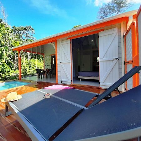 Caraibes Cottages Corail Piscine Privee A 900M De La Plage De Grande Anse デエエ エクステリア 写真