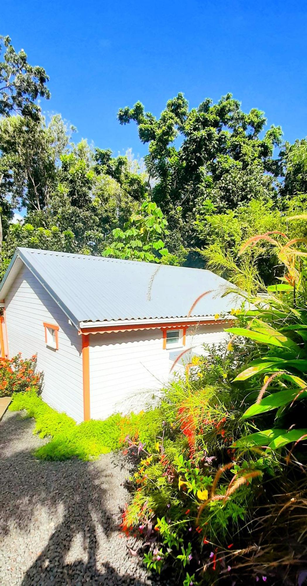 Caraibes Cottages Corail Piscine Privee A 900M De La Plage De Grande Anse デエエ エクステリア 写真