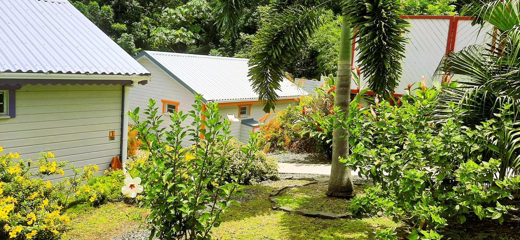 Caraibes Cottages Corail Piscine Privee A 900M De La Plage De Grande Anse デエエ エクステリア 写真