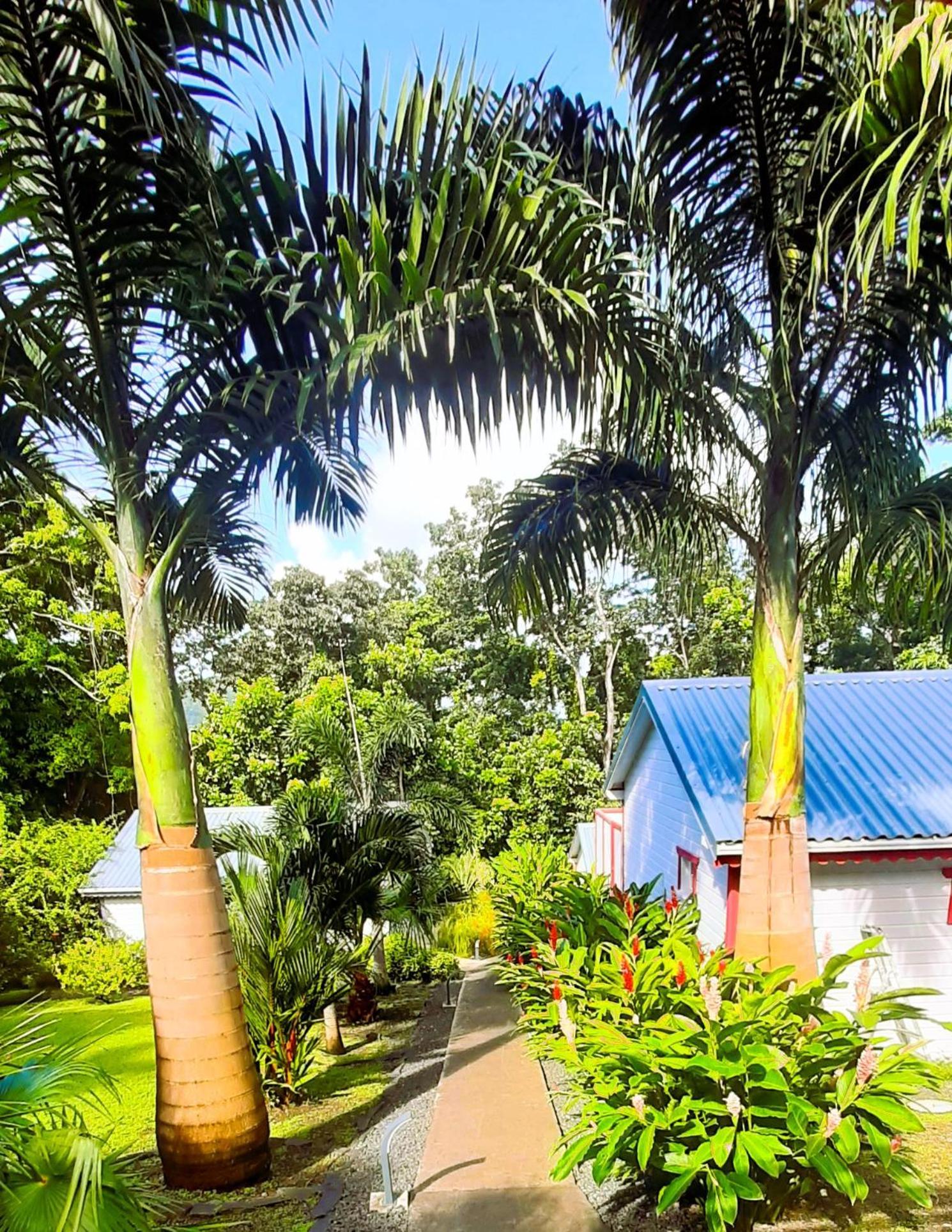 Caraibes Cottages Corail Piscine Privee A 900M De La Plage De Grande Anse デエエ エクステリア 写真